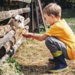 Edito agri avenir
