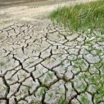 climate-change-2241061__340